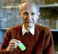 Nobel da Química 2008 